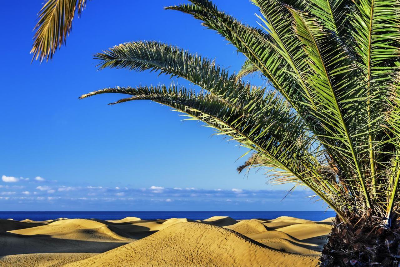 Las Adelfas South Beach 5 By Canariasgetaway San Bartolomé Exterior foto